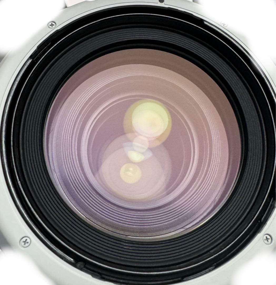 7/2まで Canon RF70-200mm F2.8 L IS USM Z