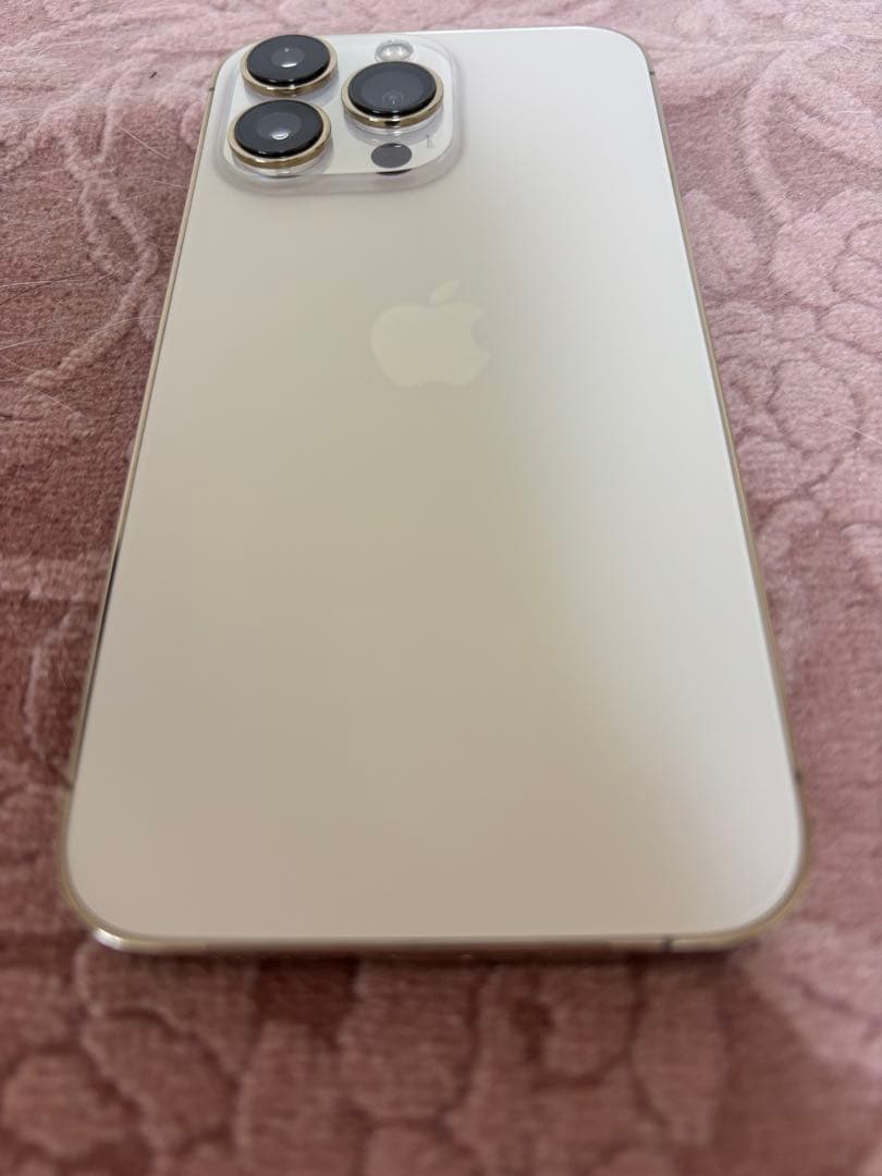 Bray　Apple iPhone 13 Pro 256GB ゴールド