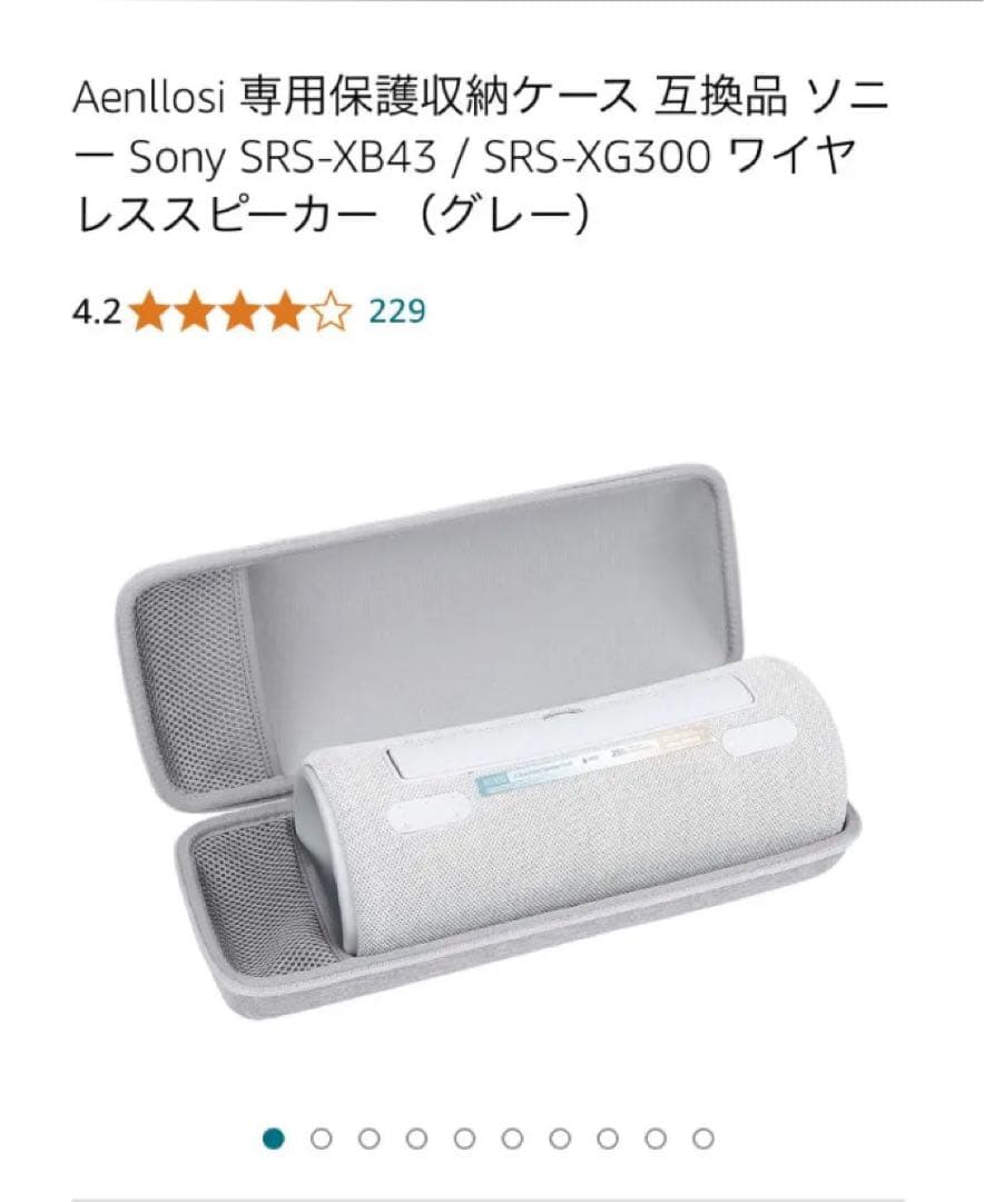 【！特別価格！】さらに【！専用ケース付き！】 ★SRS-XG300 グレー