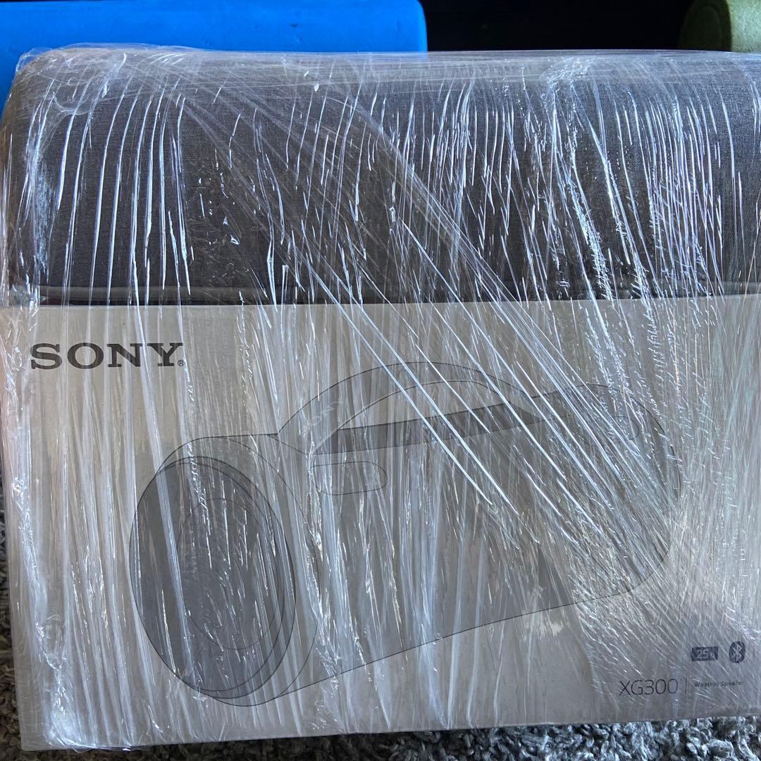 【！特別価格！】さらに【！専用ケース付き！】 ★SRS-XG300 グレー