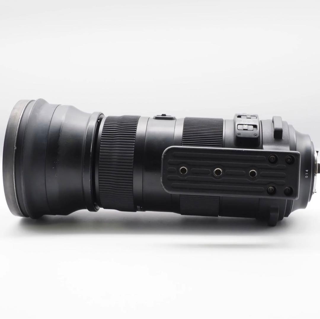 SIGMA 150-600mm Sports 大セール‼️