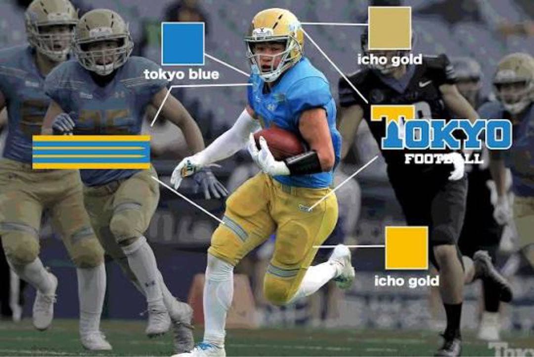 UA×東京大学“Warriors“チームパーカー MDサイズ