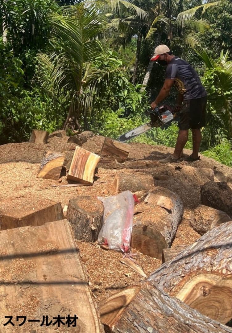 スワールウッド　天然無垢材　パグ　木彫り　手彫り　犬の置物　ハンドメイド　木製