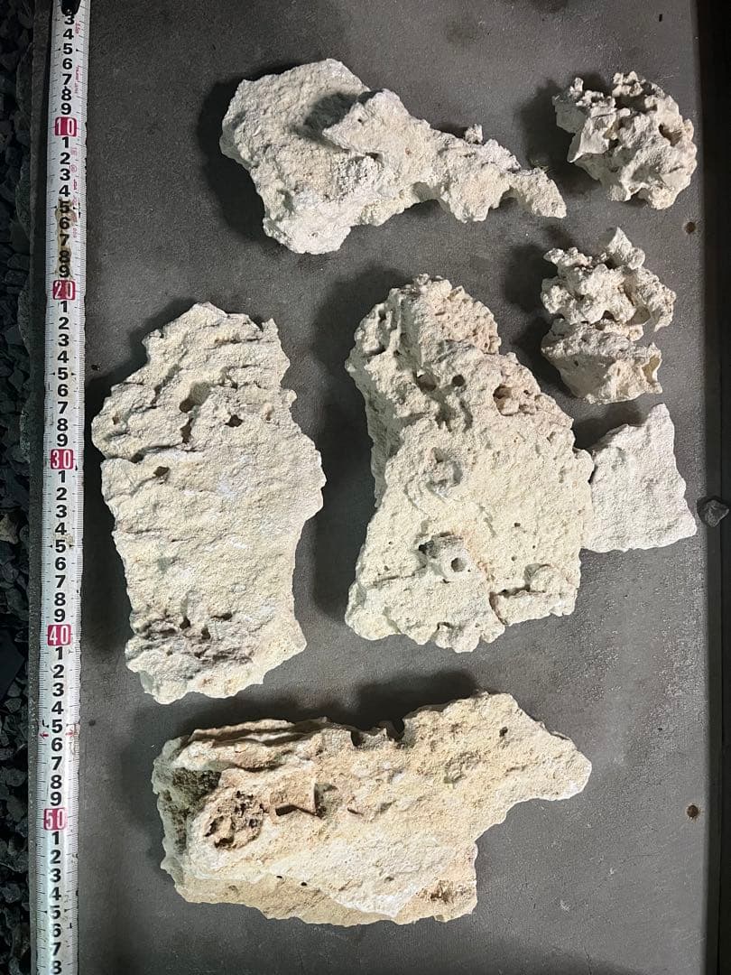 マルコロック リーフセメント セット