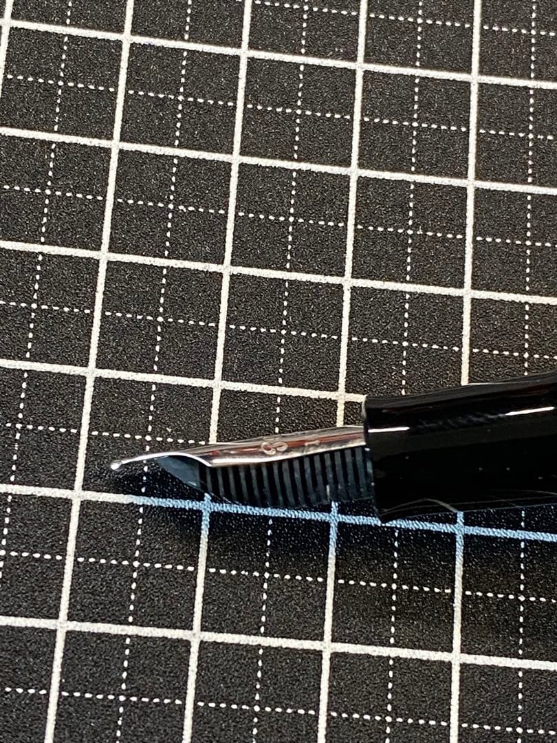 Pelikan M101N Lizard 万年筆　字幅M