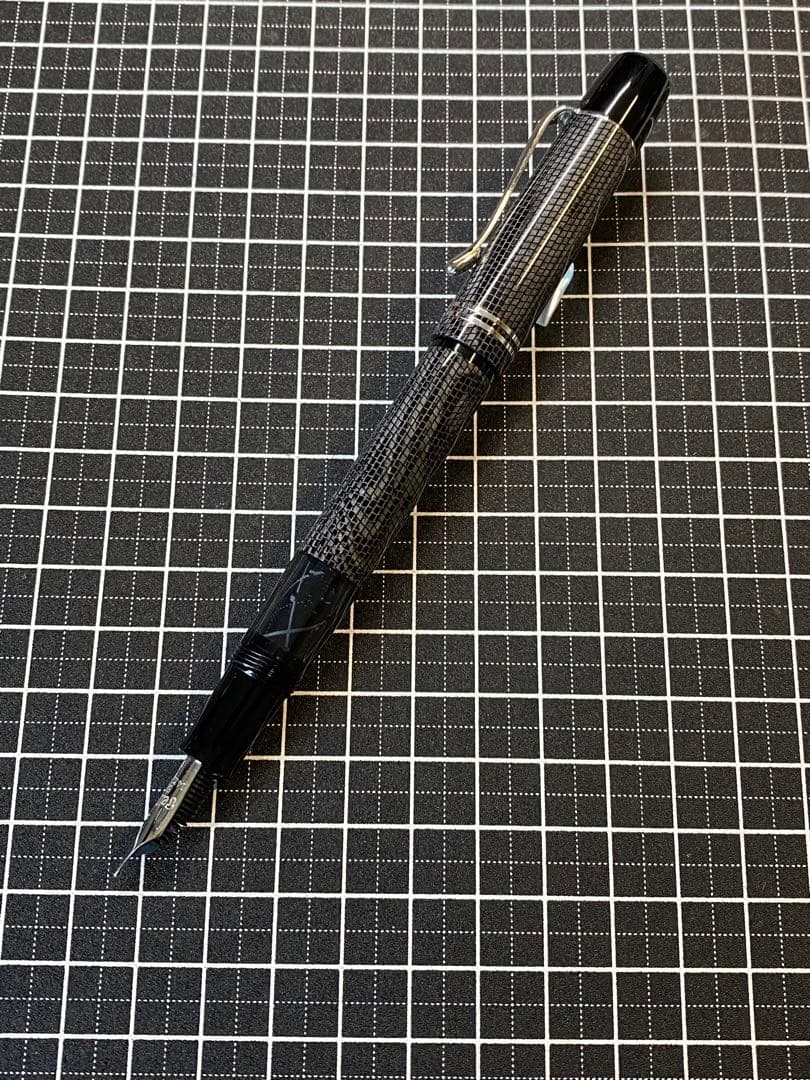 Pelikan M101N Lizard 万年筆　字幅M