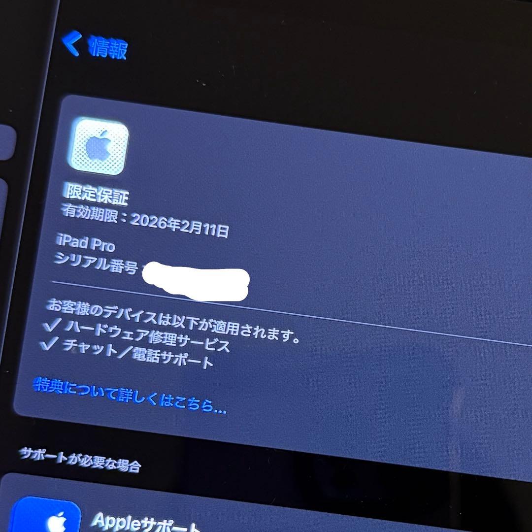 iPadPro 11 M4 256GB(Cellularモデル) アクセサリ付き