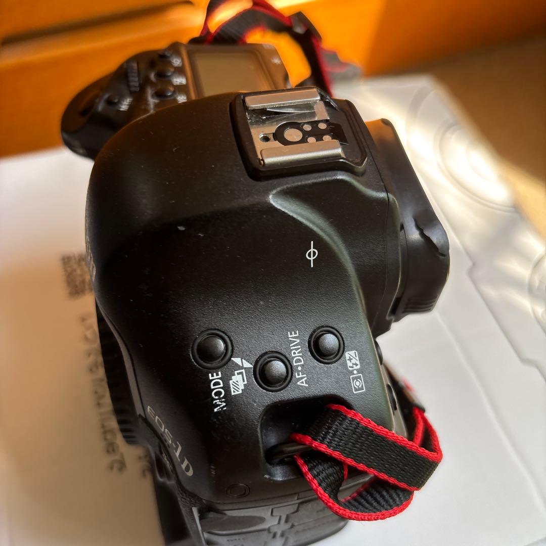 Canon EOS-1D X カメラバッテリー、レンズ、CF.取説、充電器付き