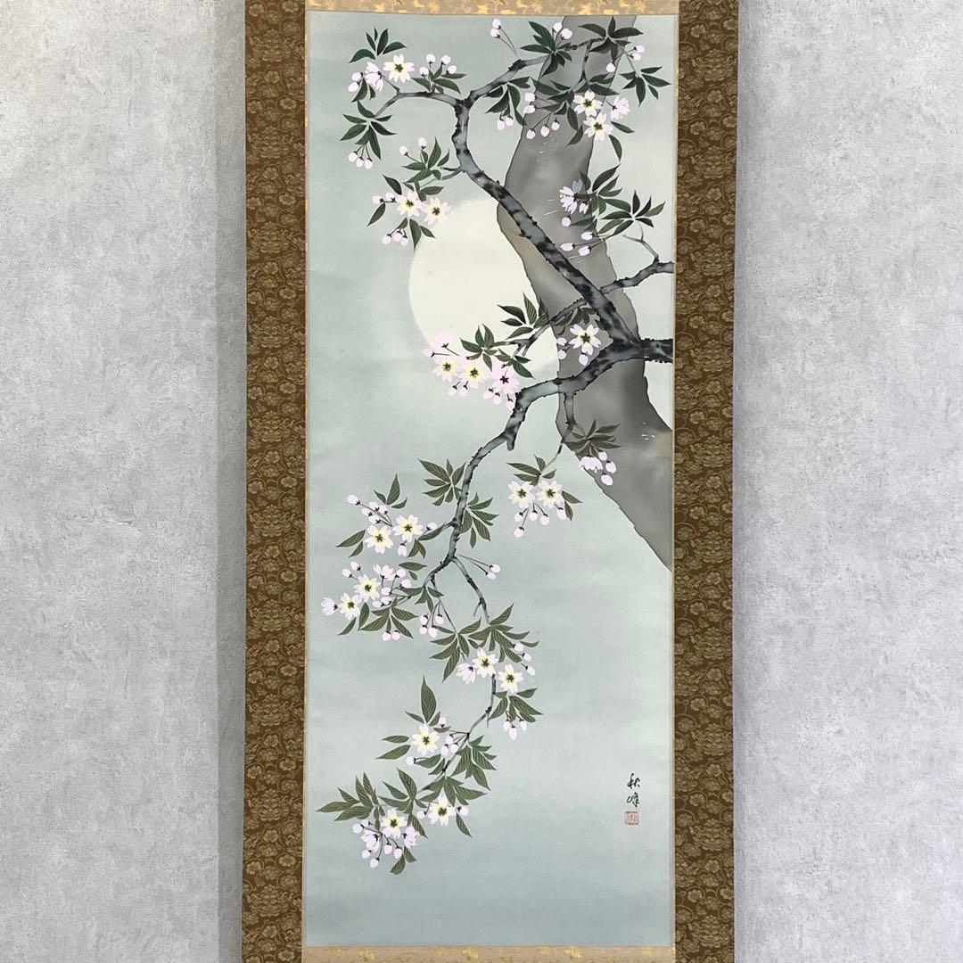掛軸 秋峰 夜桜 共箱 春 月 満月 花 桜 5-14