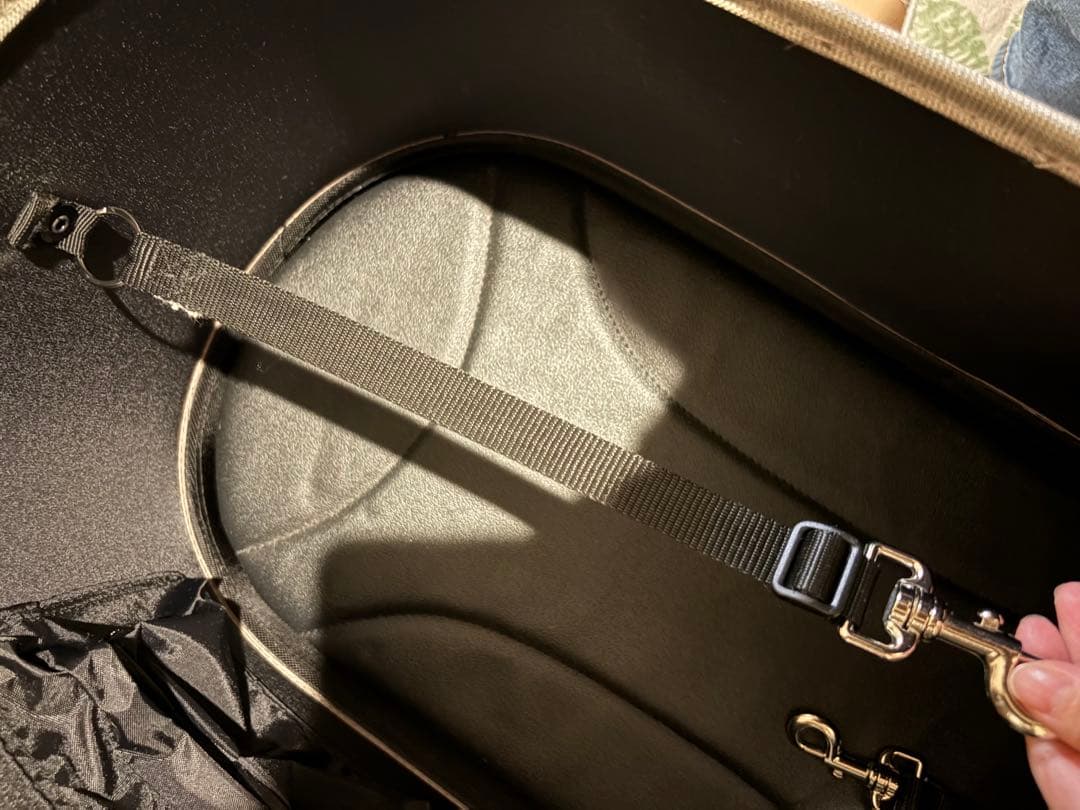 【本日限定価格】AIRBUGGY　DOME3 ラージ ペットカート クローバー