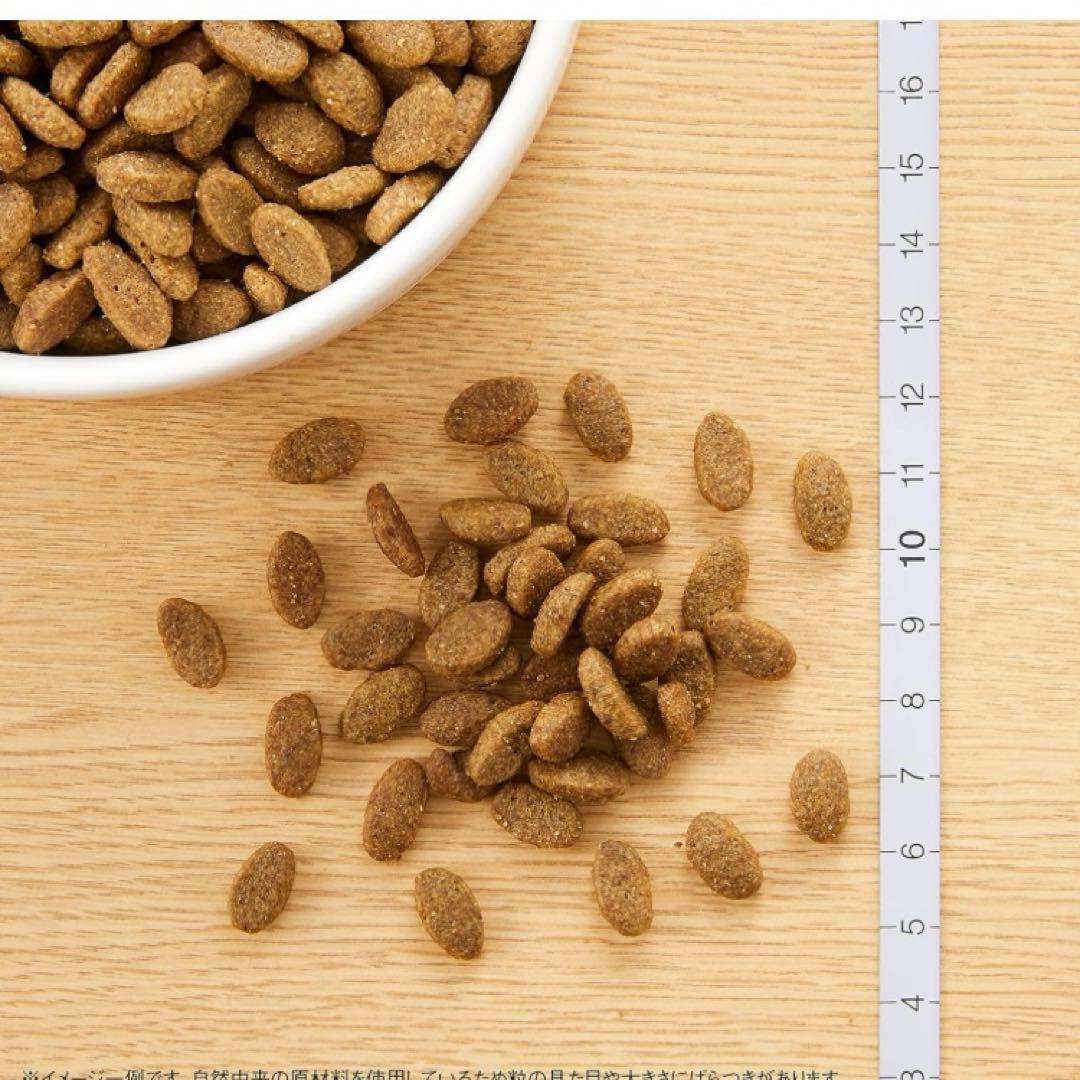 ニュートロ　アダルトターキー　12kg