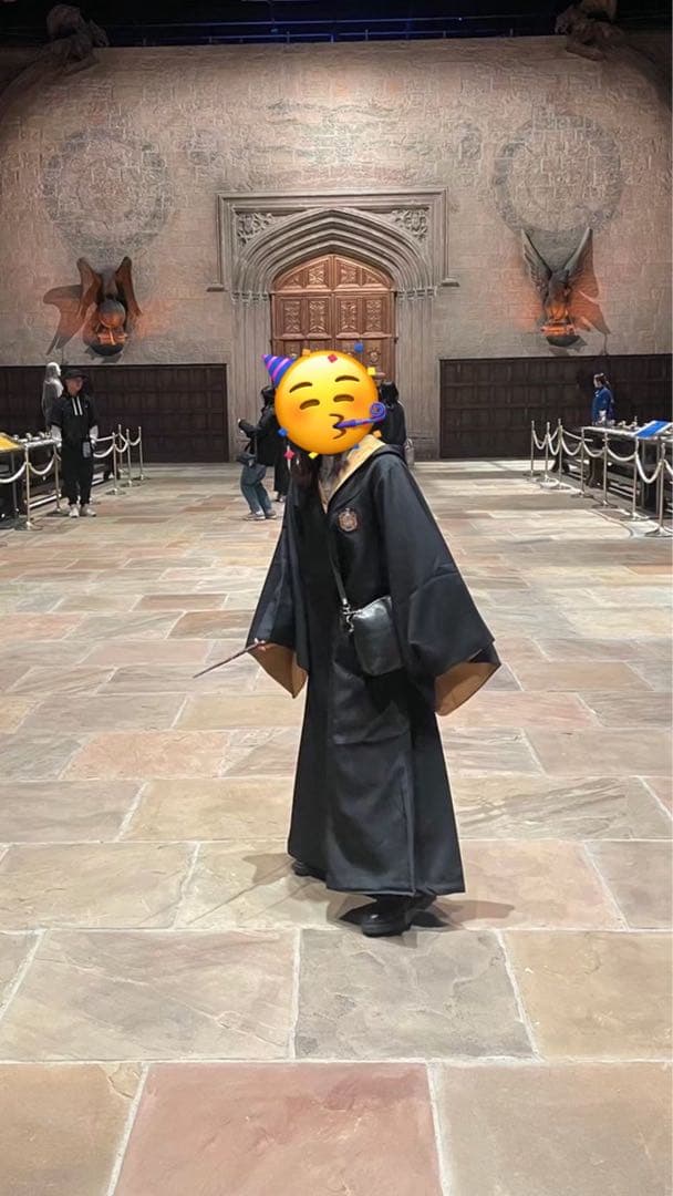 【使用一度のみ】【公式商品】ハリー・ポッター スタジオツアー　ローブ&杖のセット