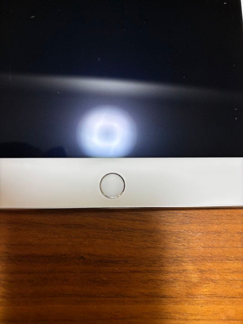 iPad mini 4 Wi-Fi 128GB シルバー 純正ケーブル付