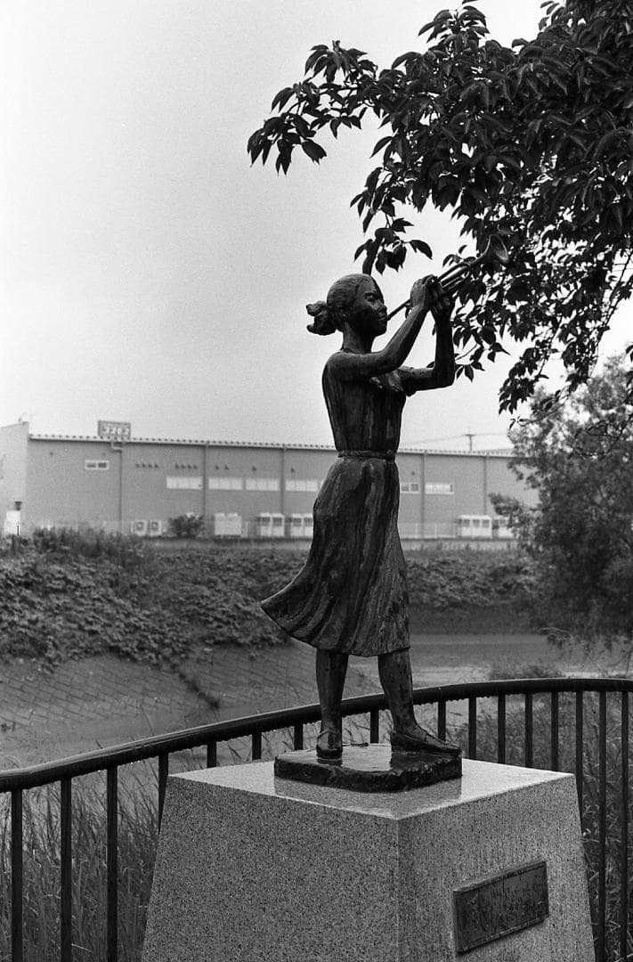 【整備済完動品】Canon AE-1 PROGRAM+FD 50mm F1.4