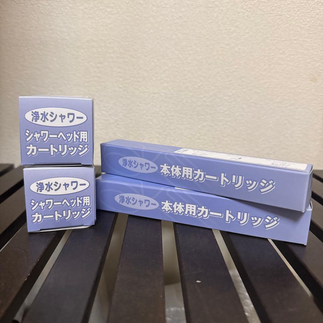 【正規品】素粒水　フリーサイエンス　シャワー用　交換カートリッジ２個セット売り