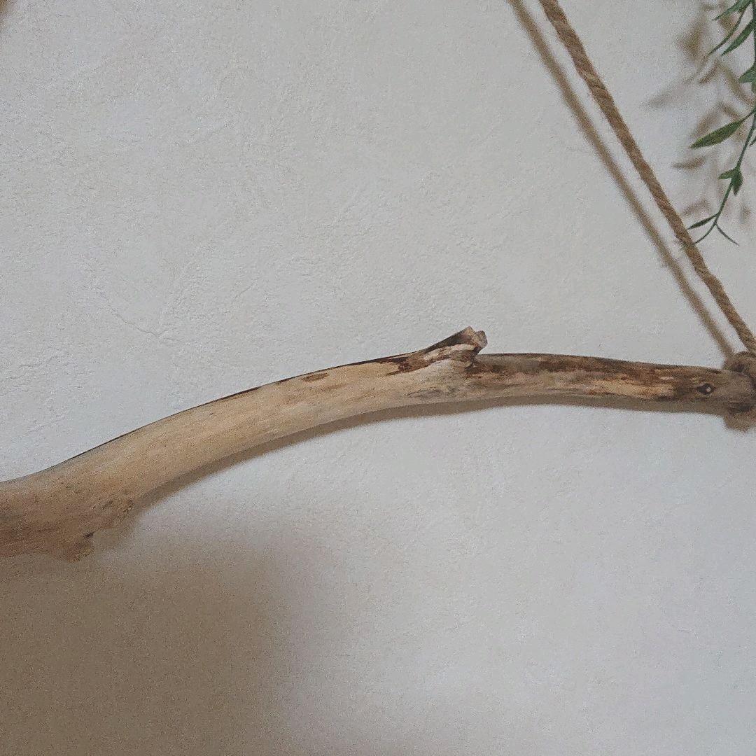 流木インテリアハンガーno.98