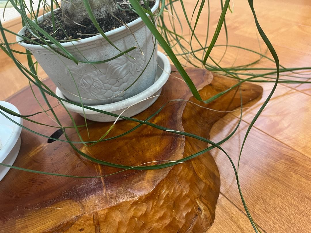 【天然一枚板】飾り台 盆栽台 花瓶台 座卓 大型【光沢仕上げ】