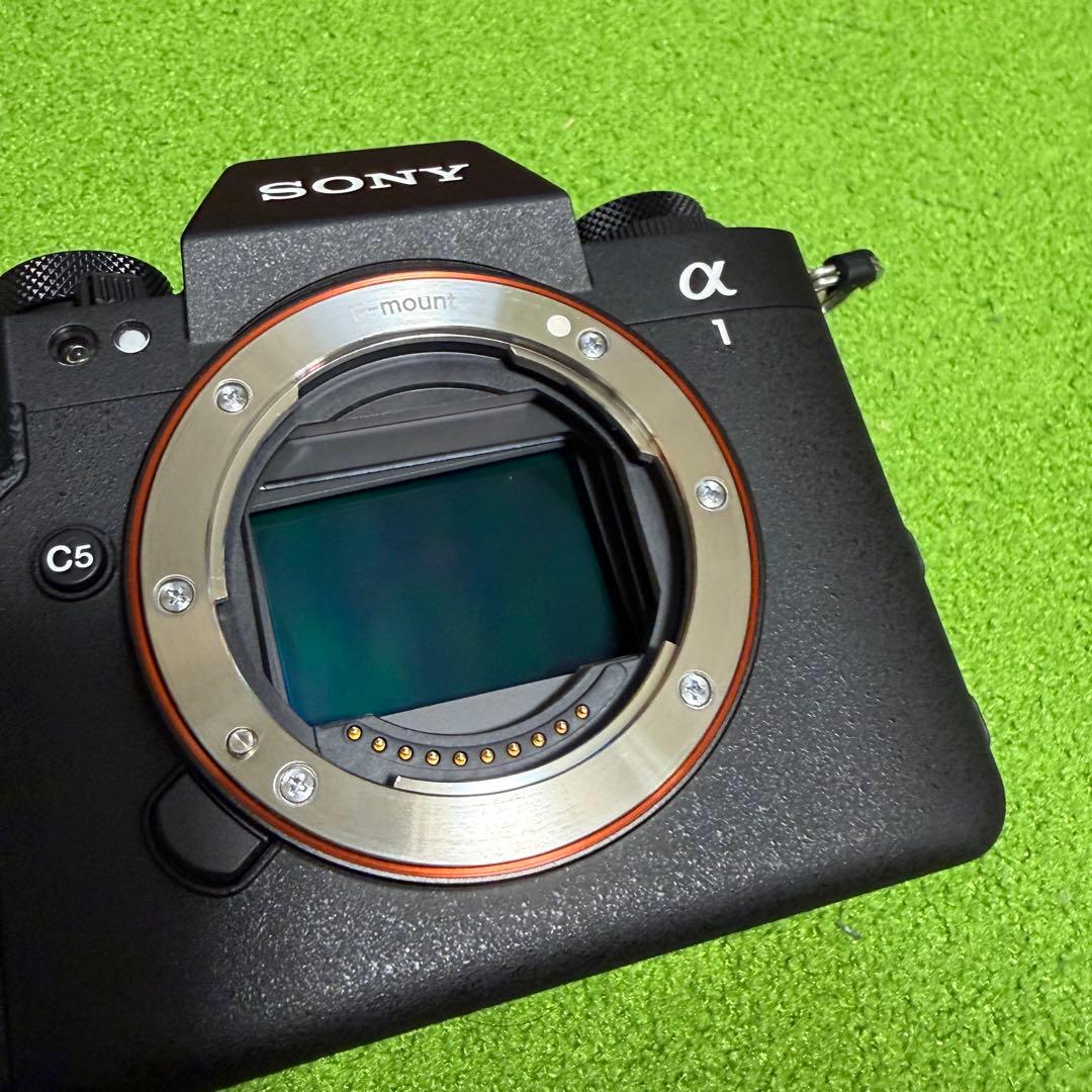 Y*3様 【極美品】SONY α1 II セットILCE-1M2