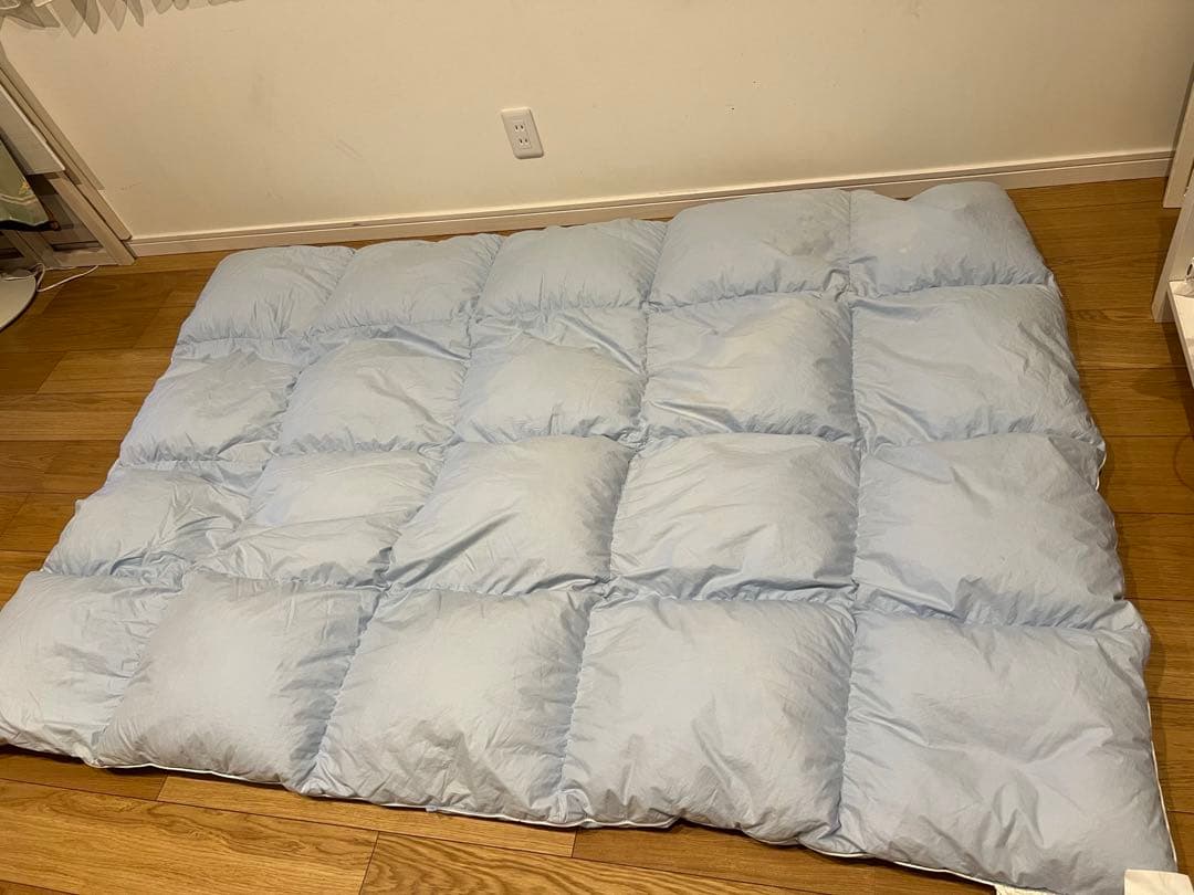 ポーランドグースダウン90% ドイツ製「セダウナ」　シングル 1.1k 軽量