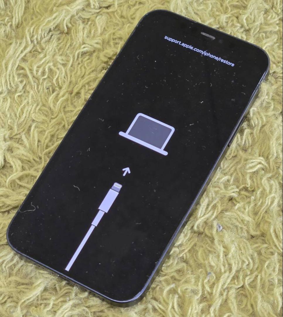 ア*ン様 Apple iPhone 12 256GB SIMフリージャンク品