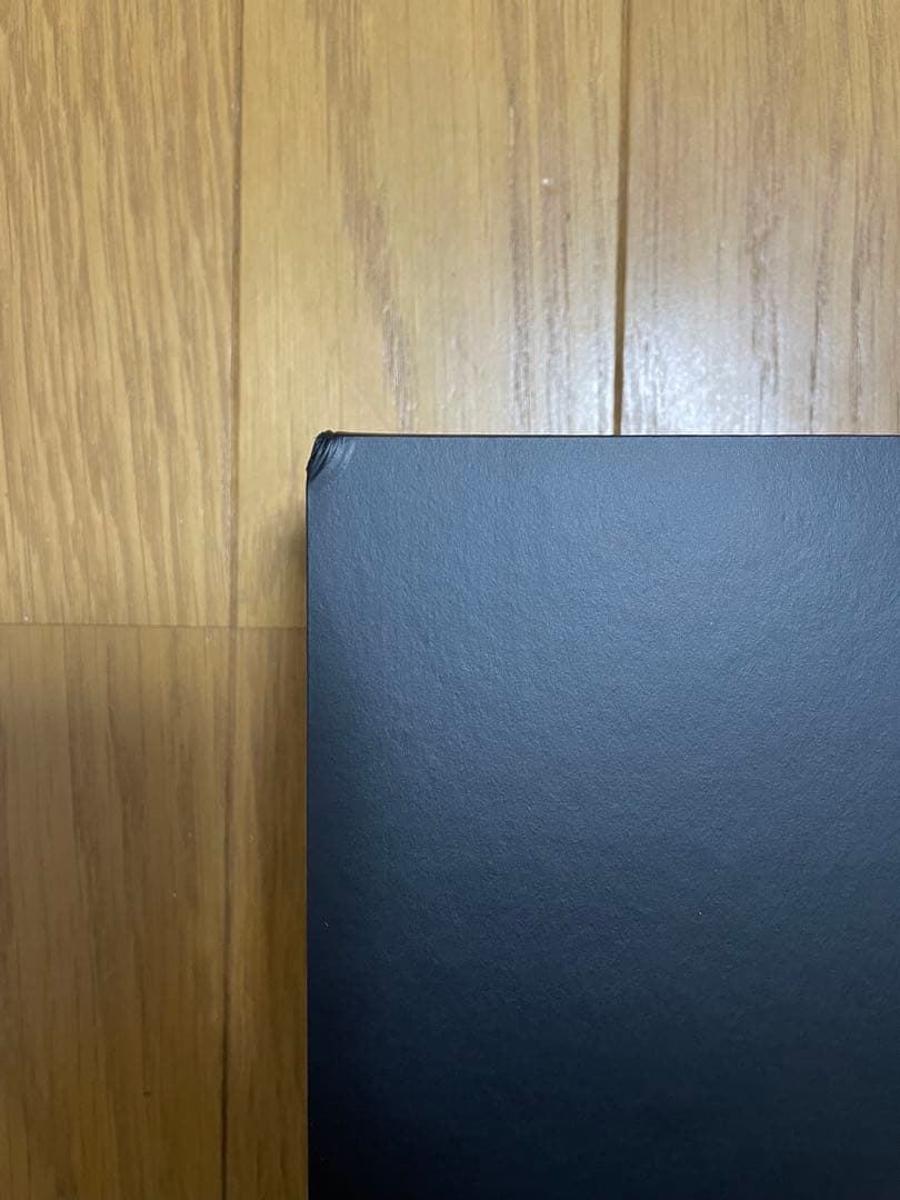 MYTREX 横振動モーションブラシ　VIDO ビドー