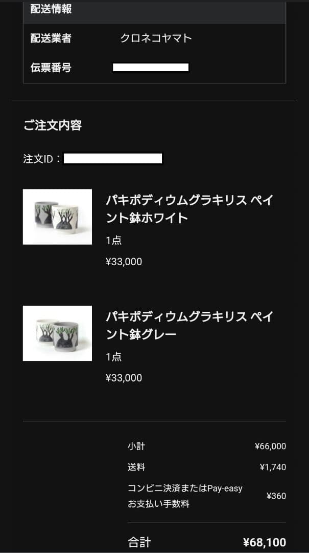 【一点物】 saori_ohwada パキポディウム グラキリス ペイント鉢