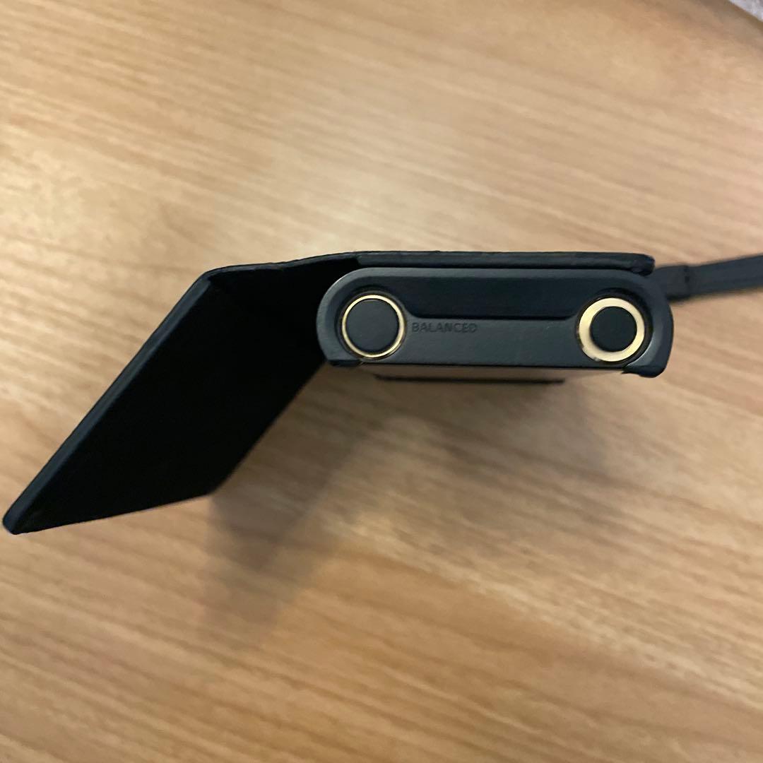 SONY NW-ZX507 64GB WALKMAN ケース付き