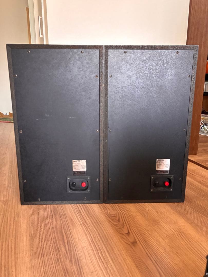 【値下げ】DIATONE DS-800Z（右側）