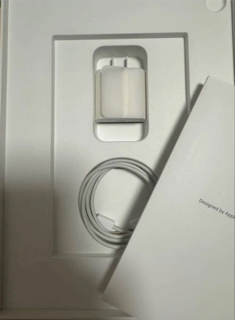 Apple iPad 本体 シルバー Apple Pencil第二世代付き