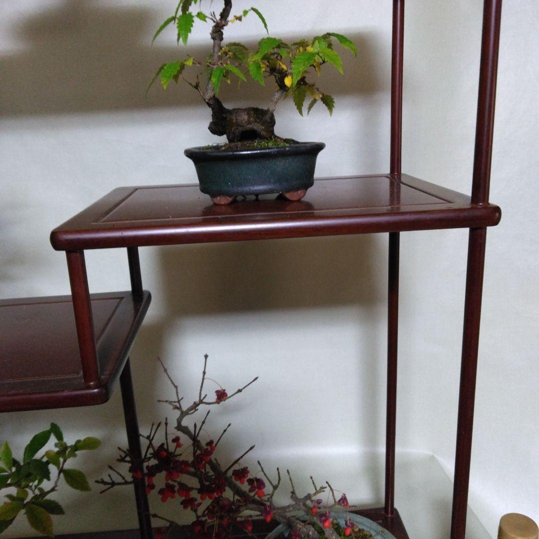 盆栽　棚飾り台　添え台付