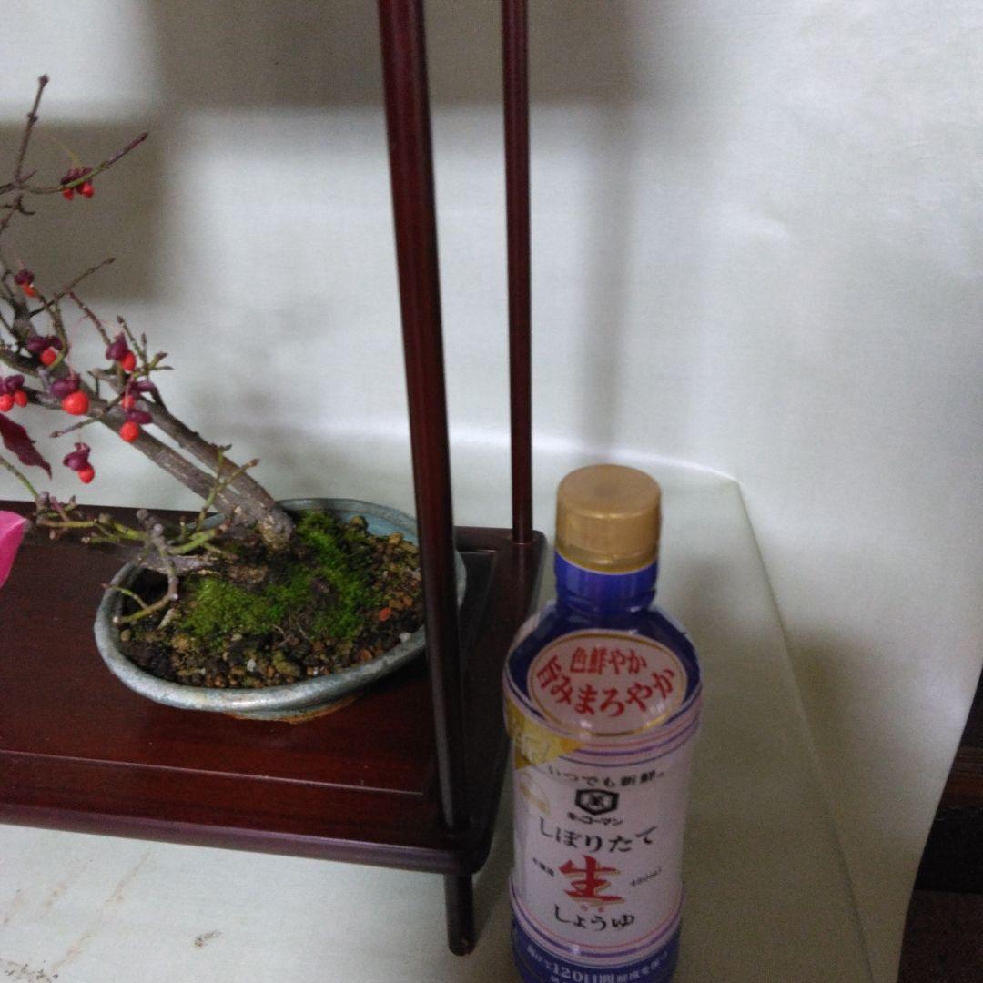 盆栽　棚飾り台　添え台付