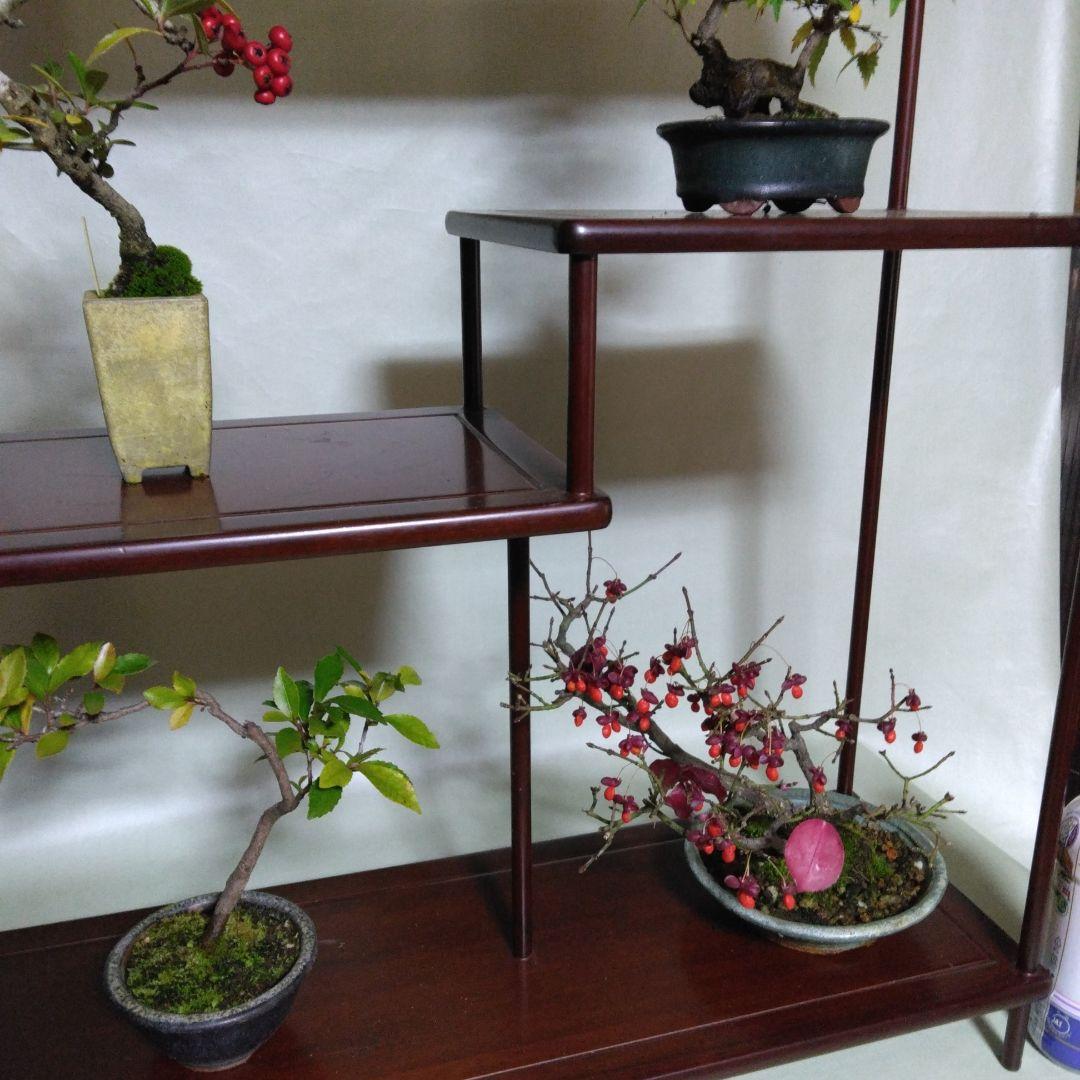 盆栽　棚飾り台　添え台付