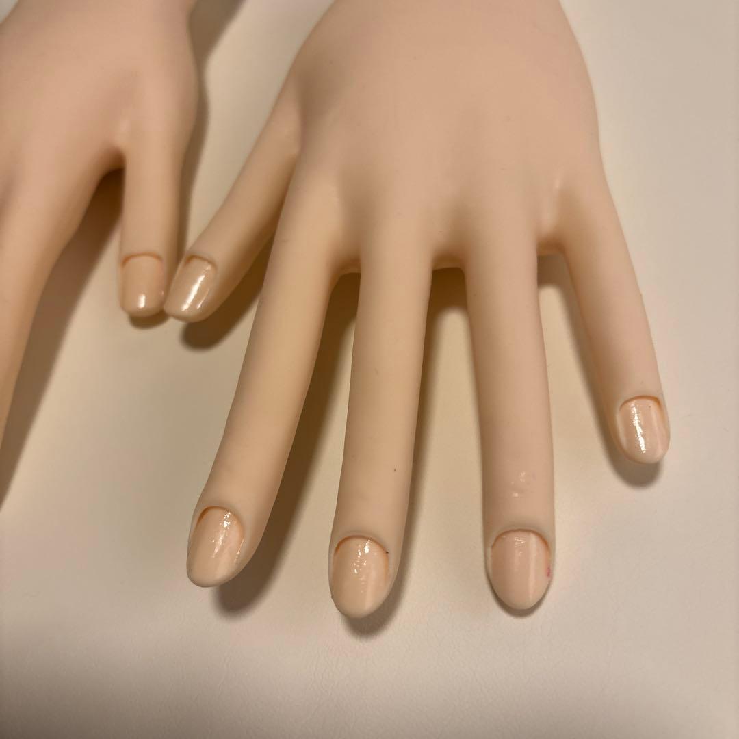 認定モデルハンド　骨折なし　ネイリスト検定　ネイル　付属品未使用