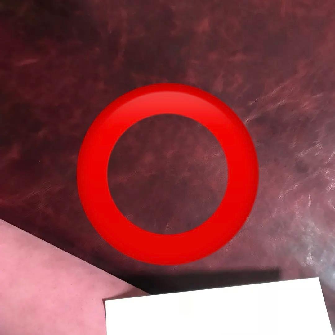 パォ様オーダー専用ページ