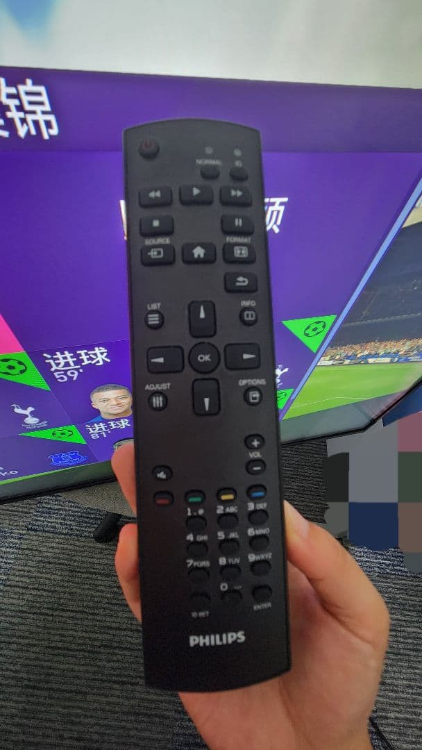 送料無料 中古 PHILIPS 業務用大型ディスプレイ 49インチ 2021年製