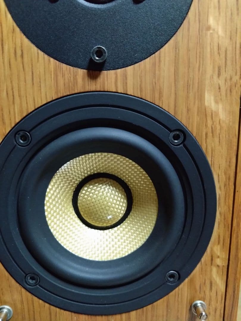 美品Pioneer S-A4SPT-PM スピーカー、ウイスキーモルト木材使用