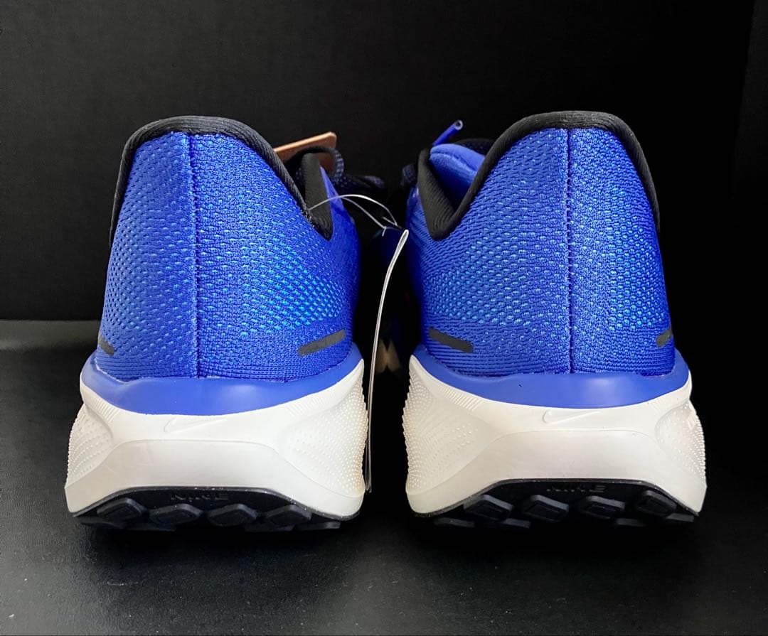 （廃番カラー、完全未使用品）ナイキ エアズーム ペガサス 41