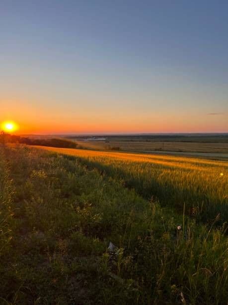 ナショナル　昭和レトロ真空管ラジオ　DX-370　bluetooth、トランス付