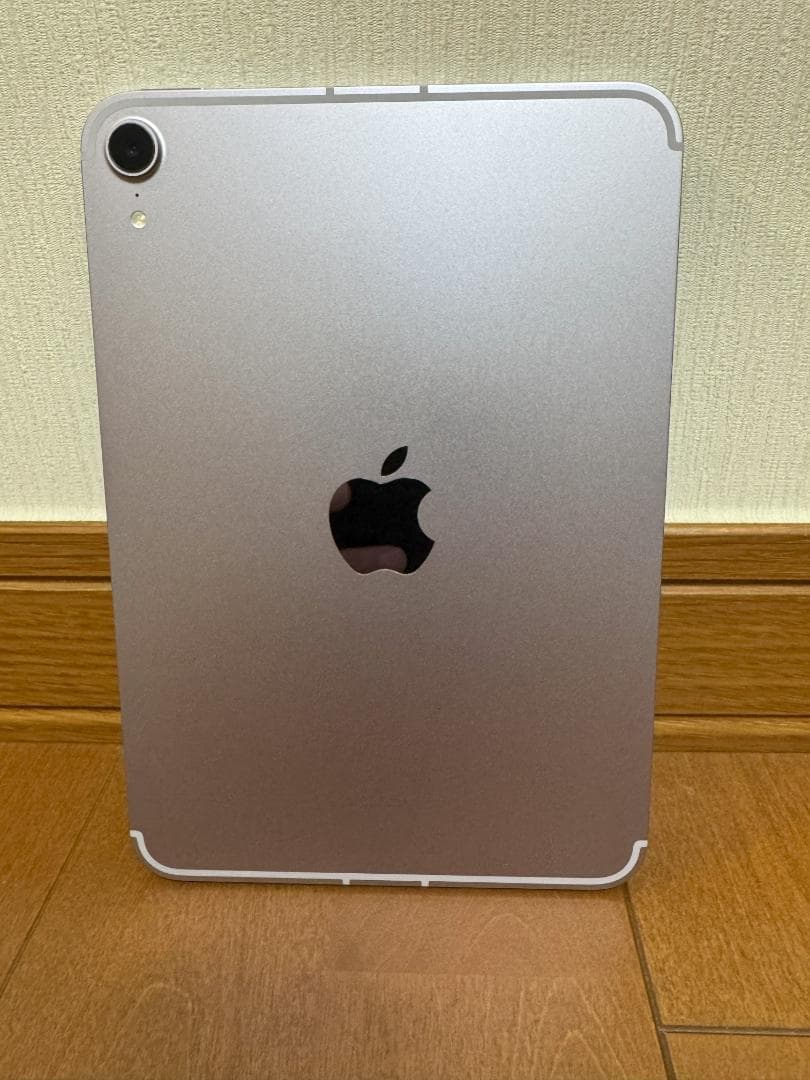 充電3回 iPad mini A17 proセルラー AppleCare+加入
