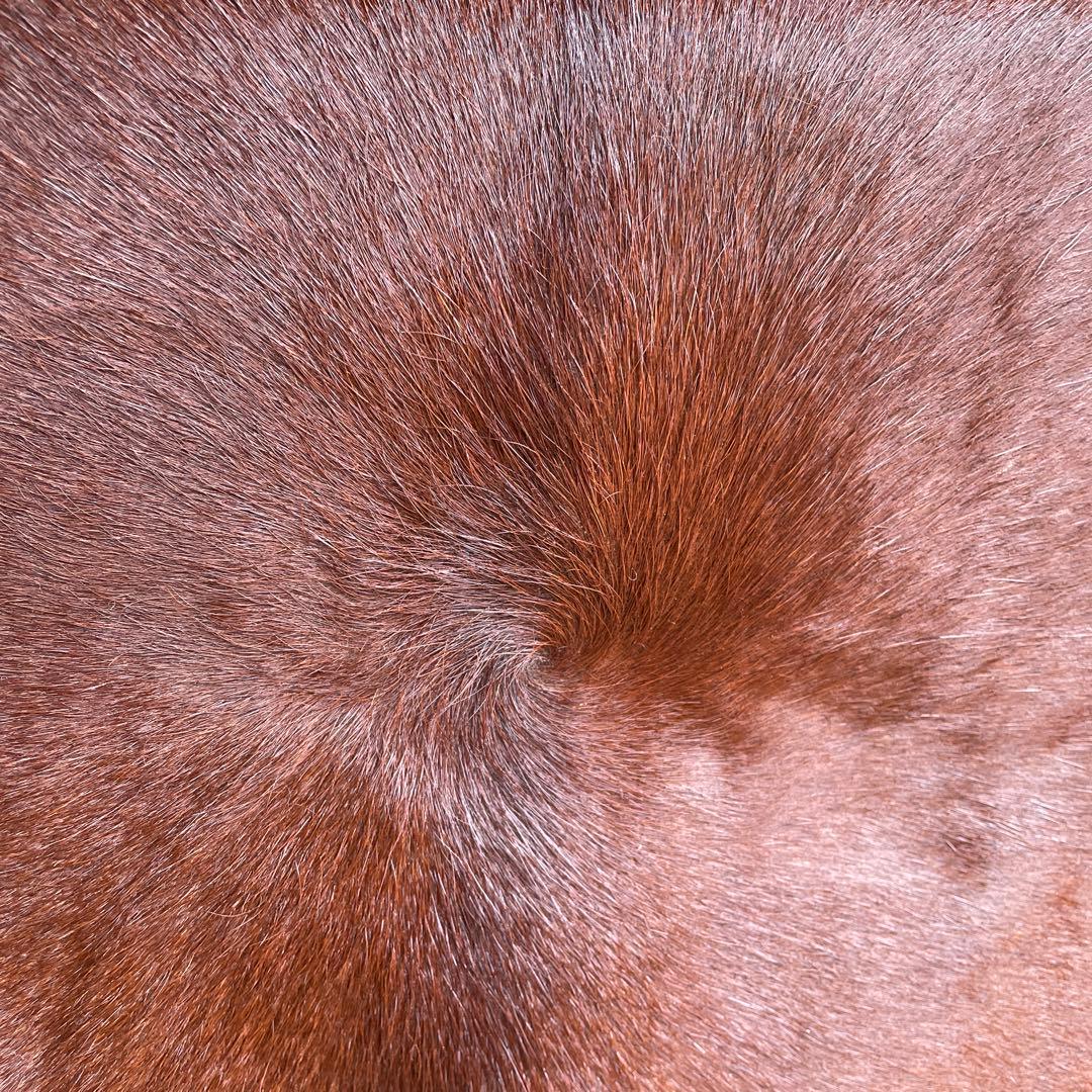 【IKEA】牛革ブラウンマット 未使用