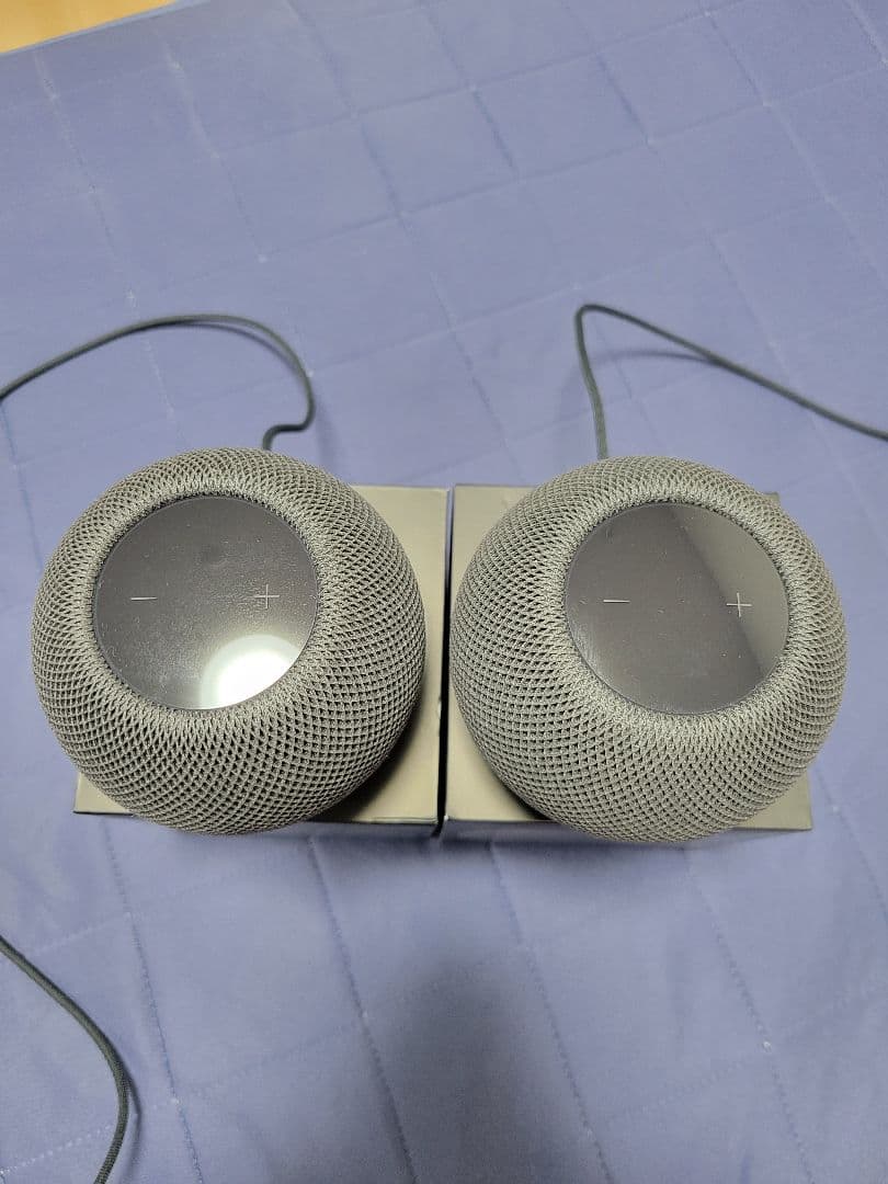 Apple Pod Mini スペースグレー 2個セット