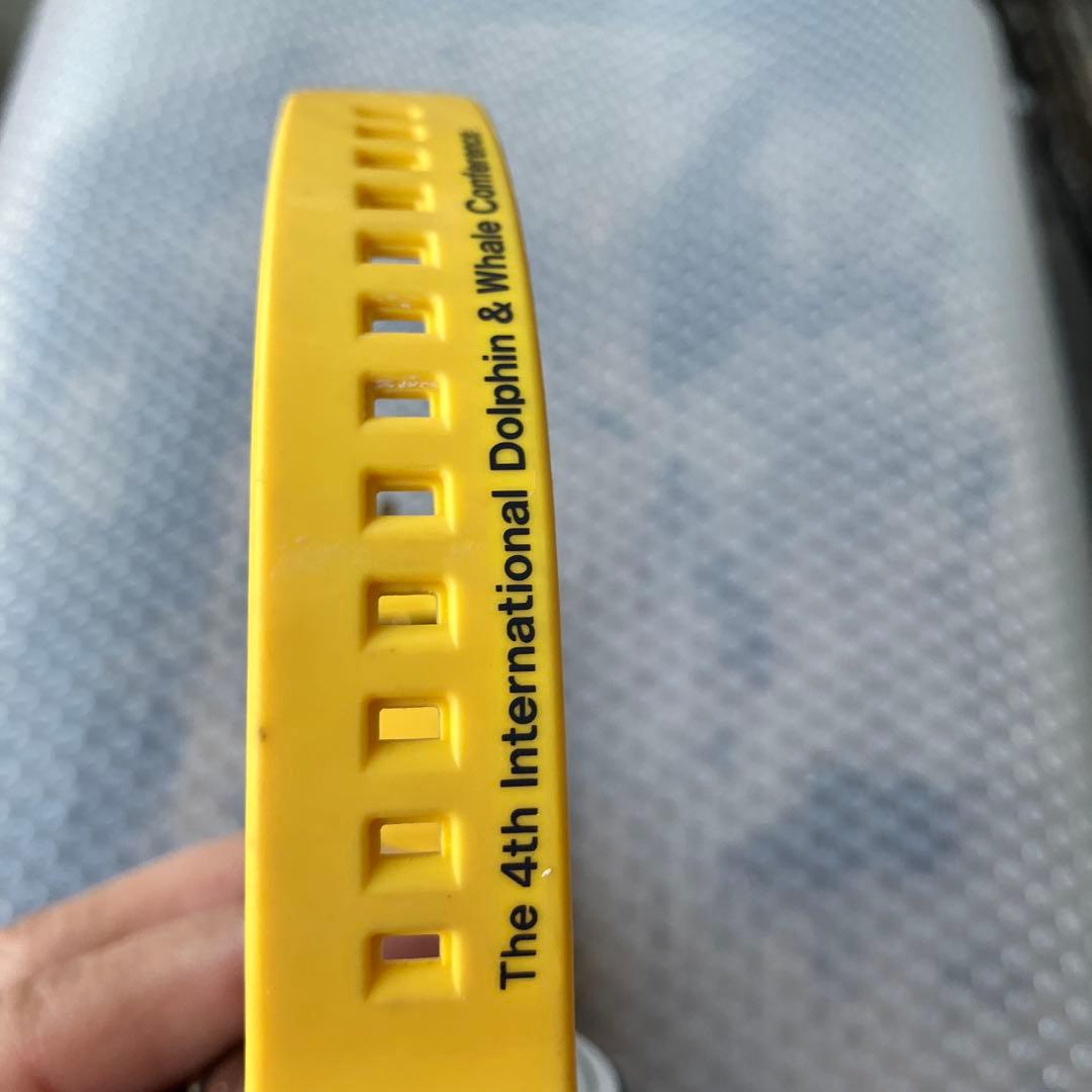 CASIO デジタル腕時計 イルカクジラ ブラック/イエロー 20BAR