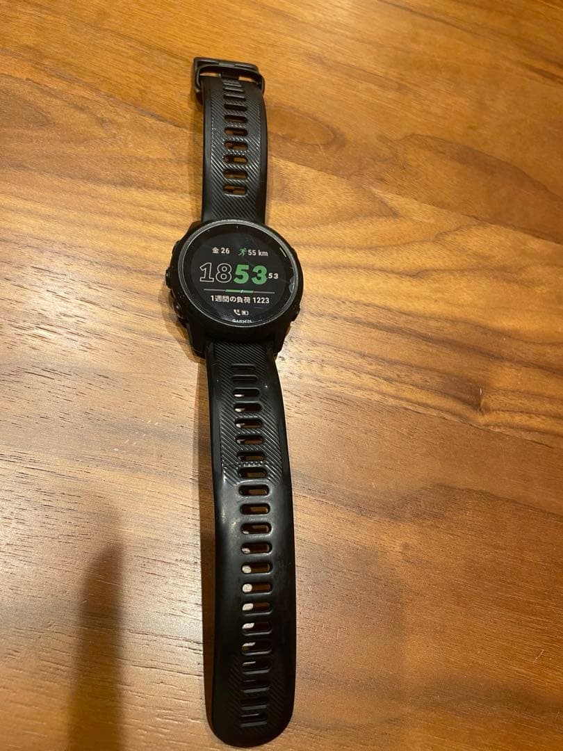 Garmin ガーミン　FOREATHLETE745