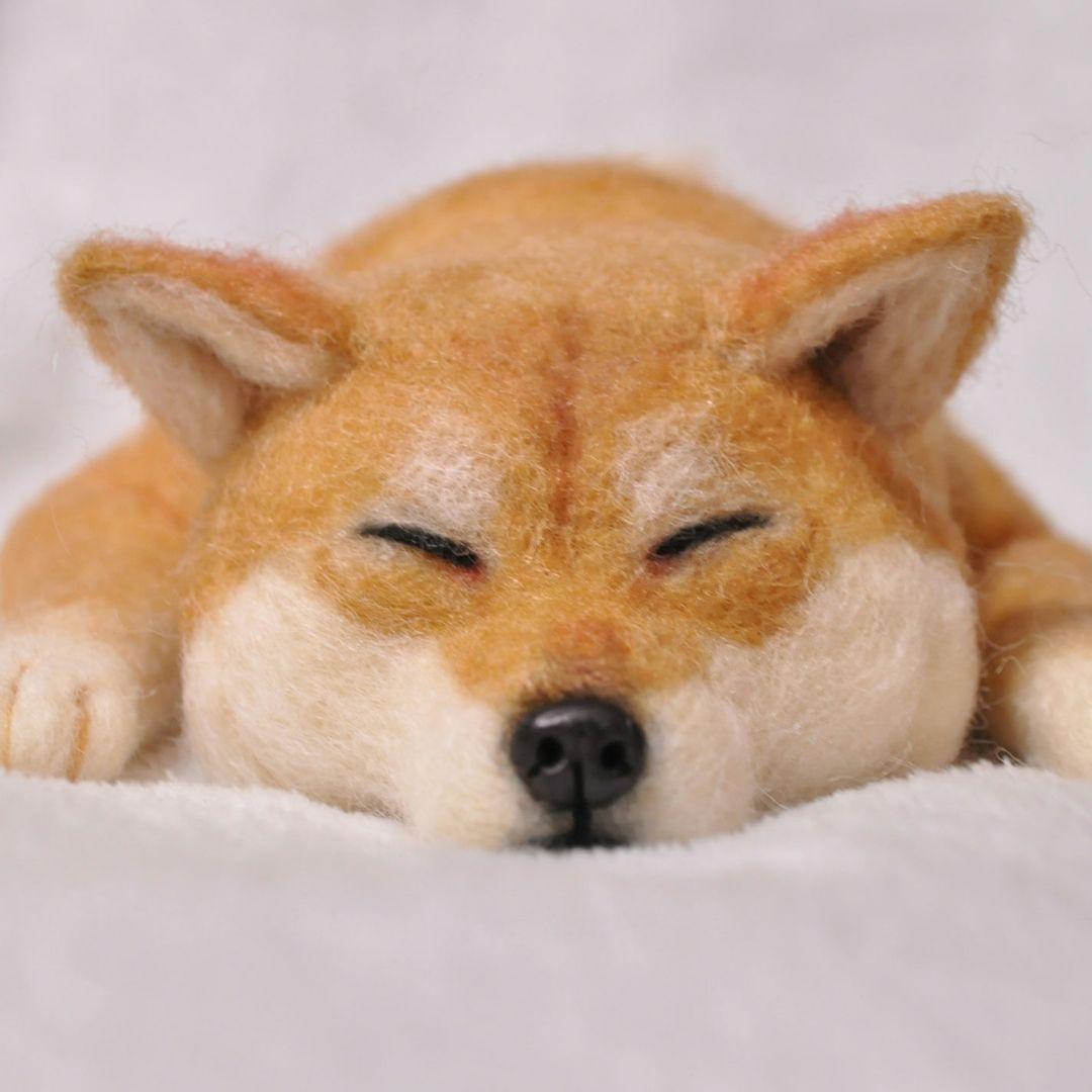 羊毛フェルト♡おねんねする柴犬