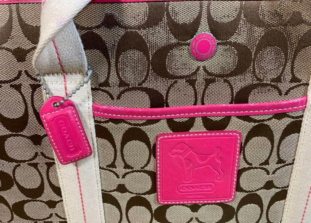 【激レア】Coach キャリーバッグ ペット用　ペットキャリー