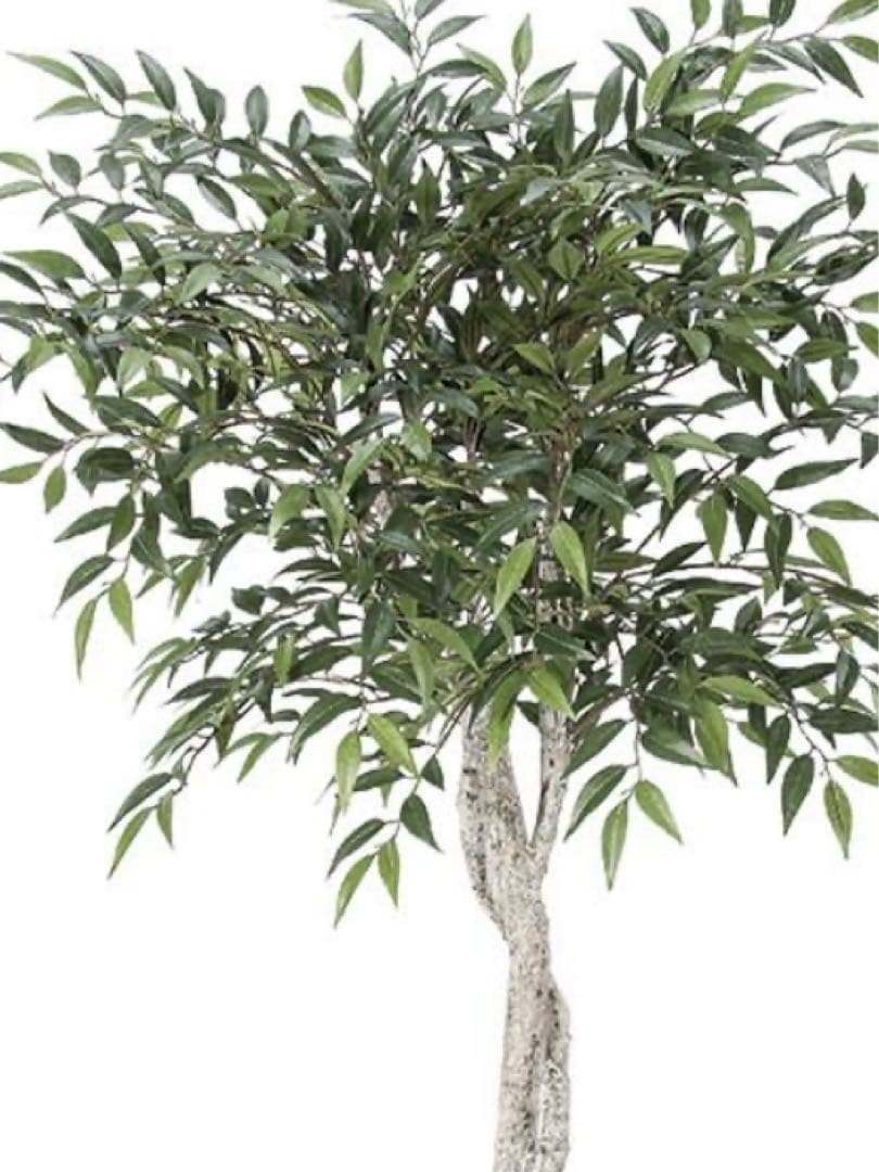 光触媒　人工観葉植物　ウォールグリーン　フェイクグリーン　スマイラックスツリー