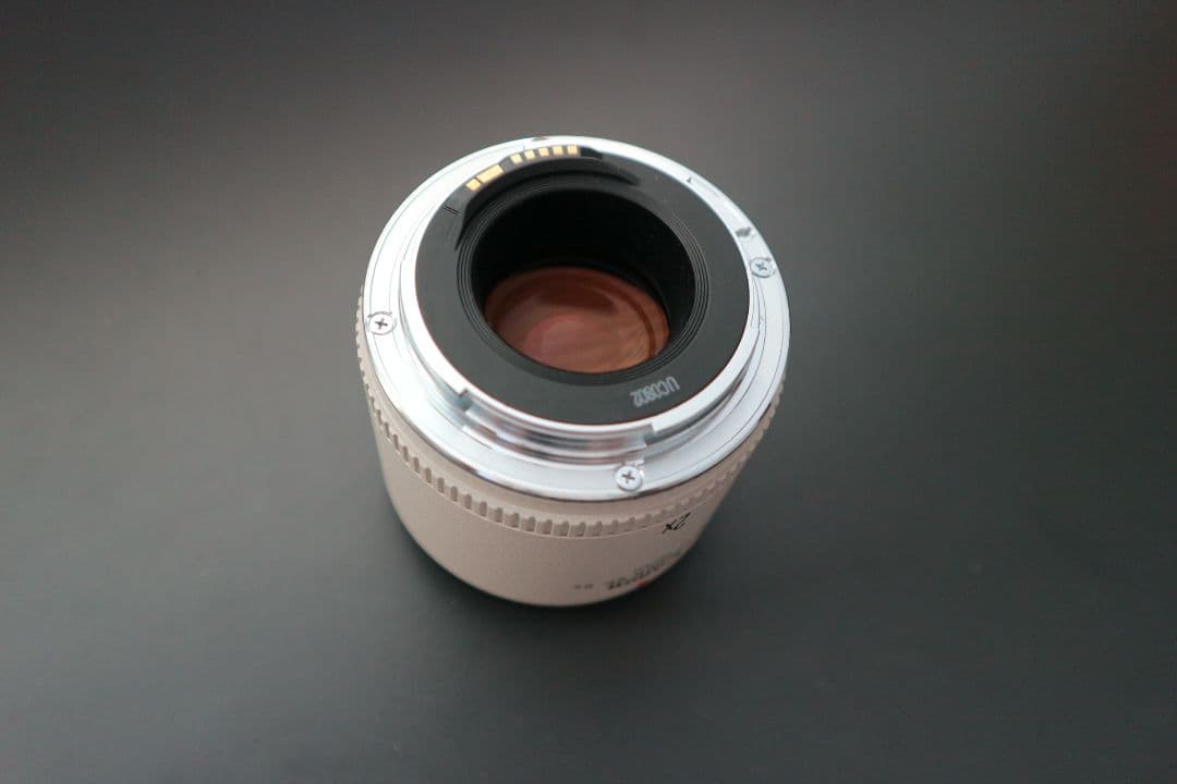 レンズ(単焦点) Canon EXTENDER EF 2x