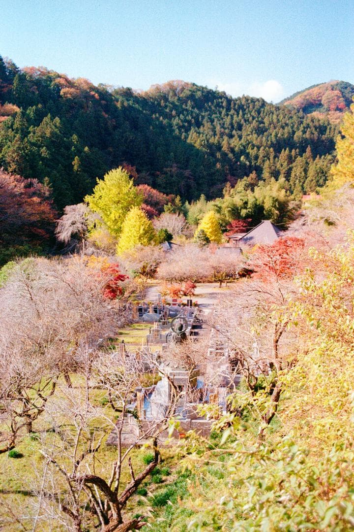 限定 Konica HEXAR RF silver Limited