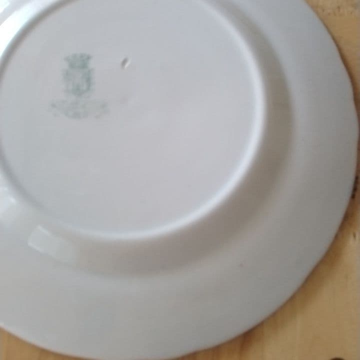 Tomo　ジアン　マリーアントワネット　ディナー皿