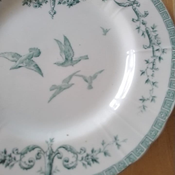 Tomo　ジアン　マリーアントワネット　ディナー皿